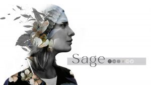 soulolution SOUL Brand Identity Archetype Sage