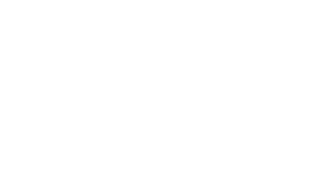 soulolution SOUL Brand Identity Logo