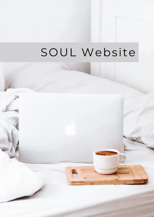 soulolution SOUL Brand Identity Work with me SOUL Website
