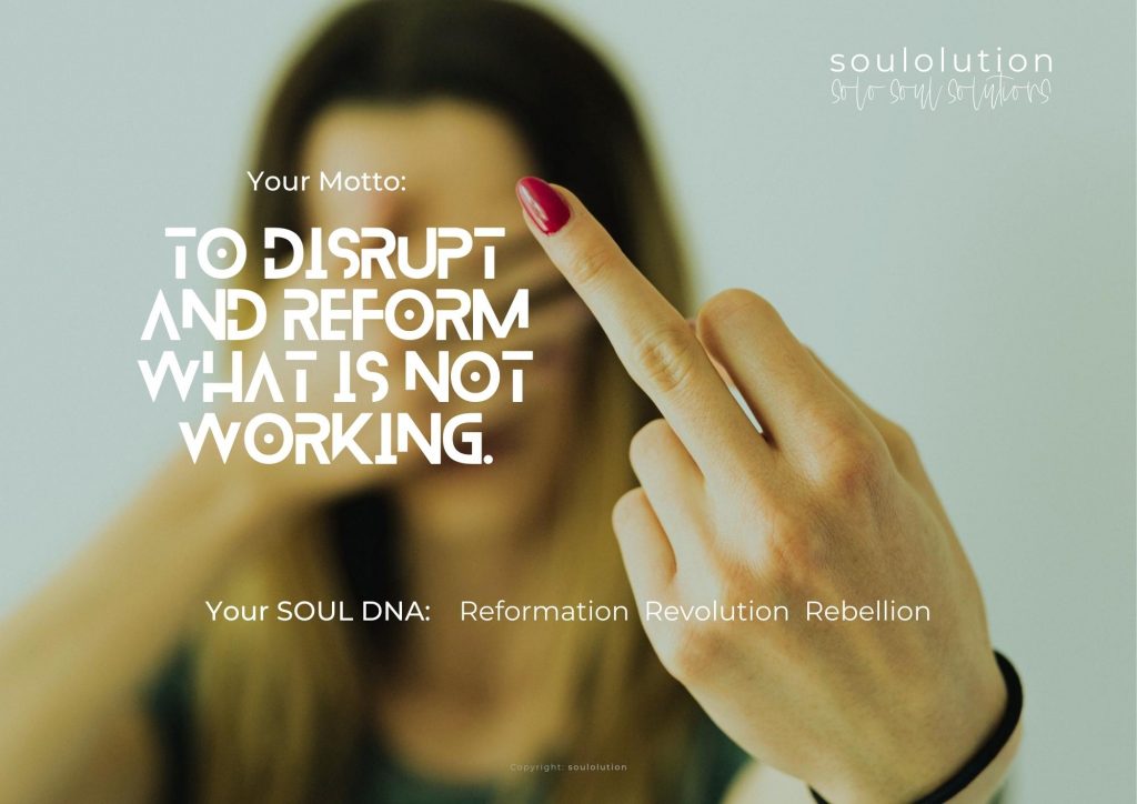 soulolution SOUL Brand Identity Rebel Archetype DNA